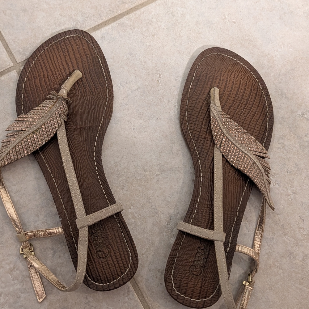 Brown and Gold Women's Sandals